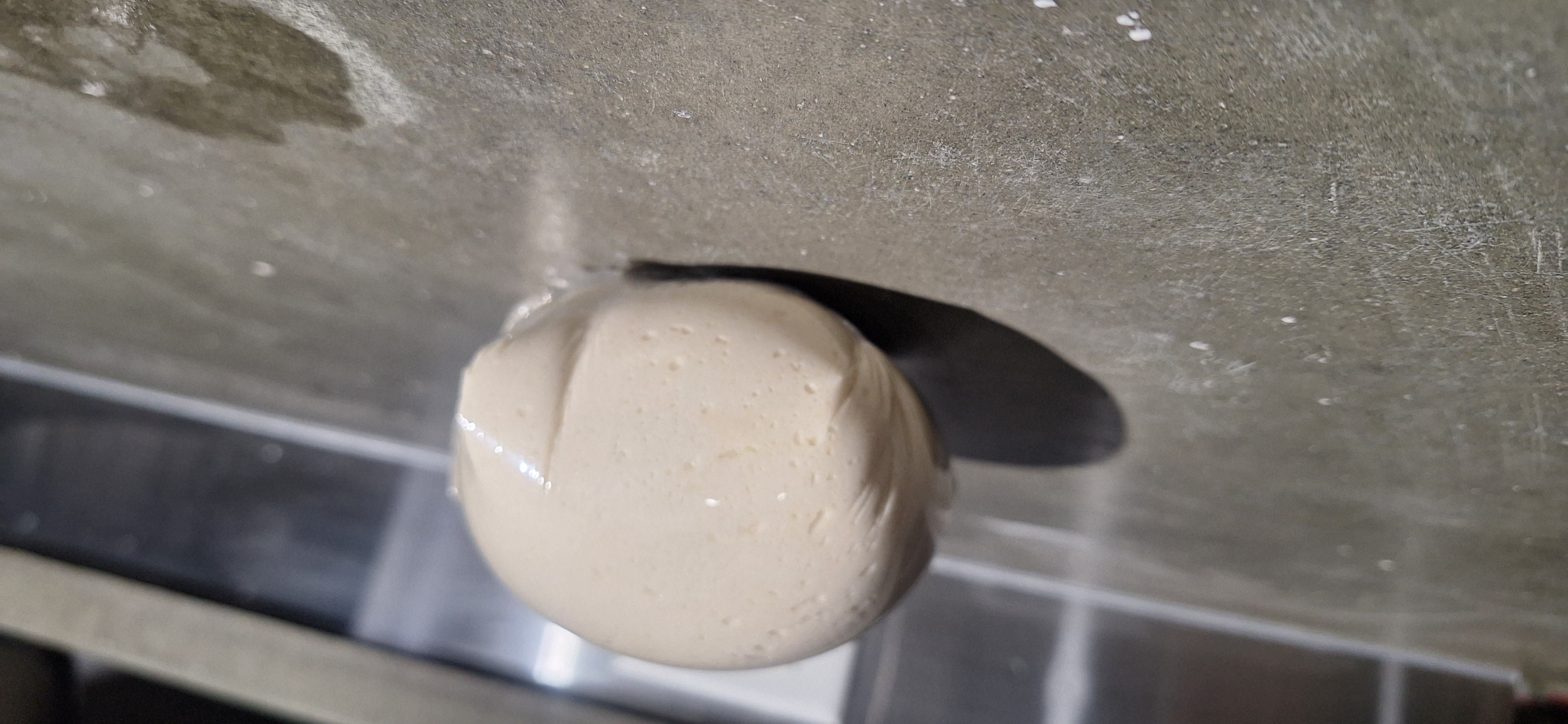 Sourdough Pizza Dough